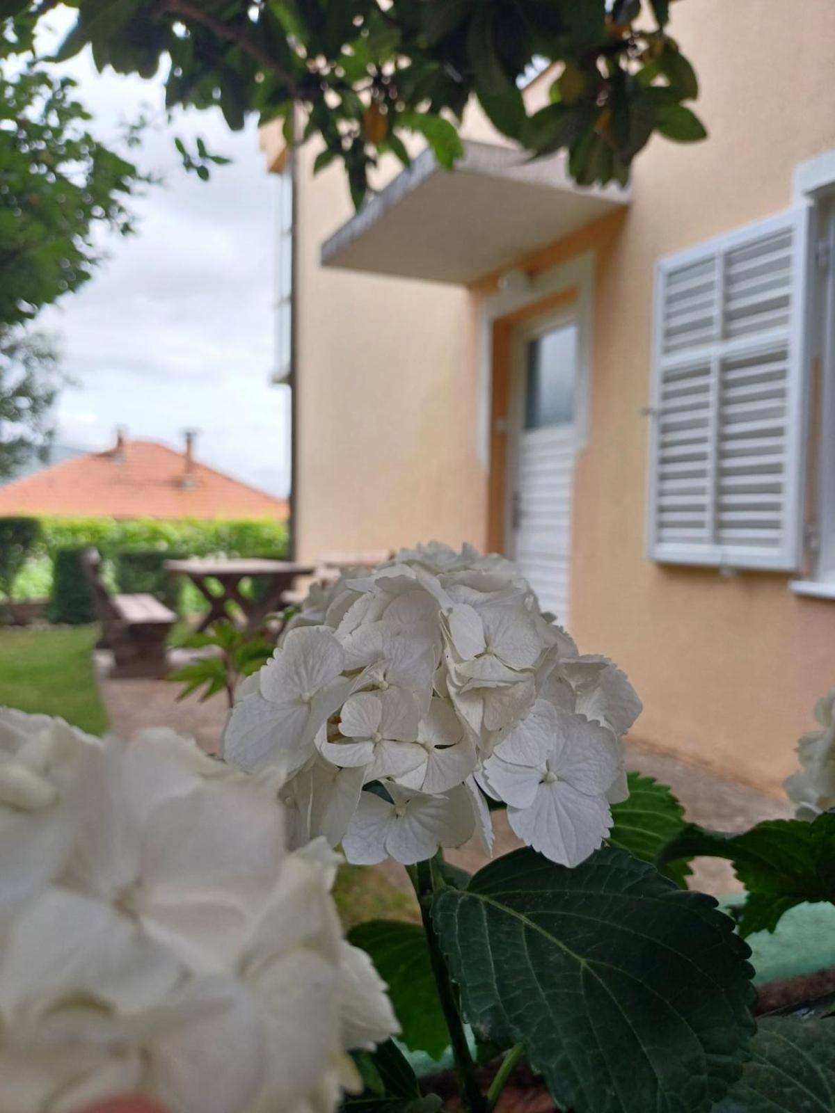 Apartments For Friends Требинє Екстер'єр фото